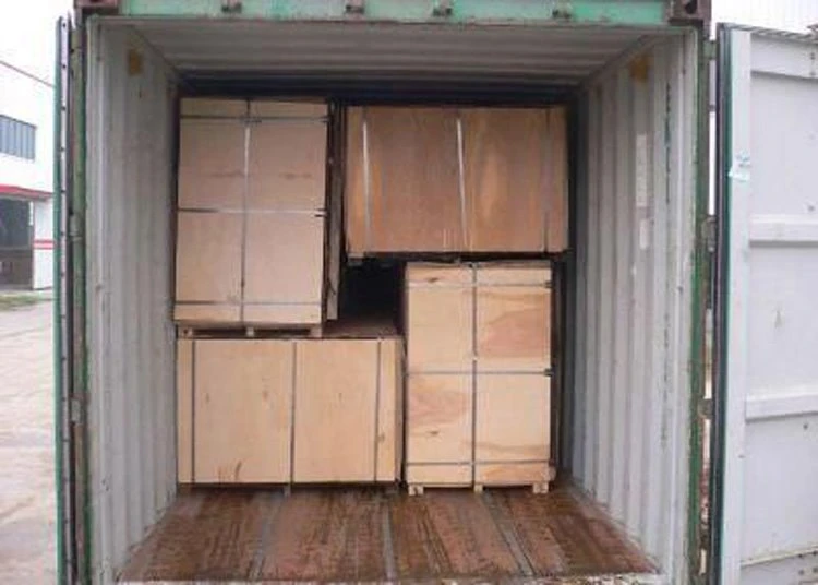 Container loading picture of Okoume marine plwood.jpg