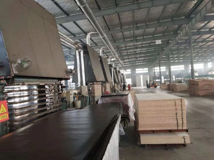 Production line of Okoume plywood.jpg