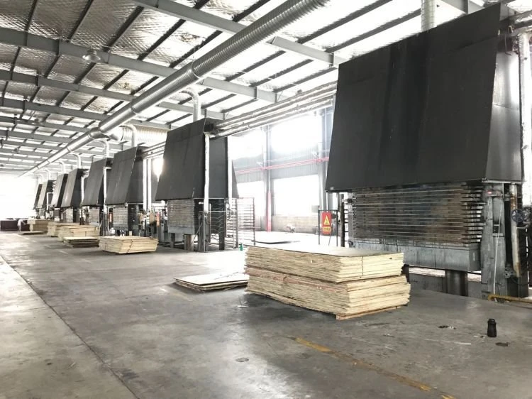 Production line of Okoume veneer plywood.jpg