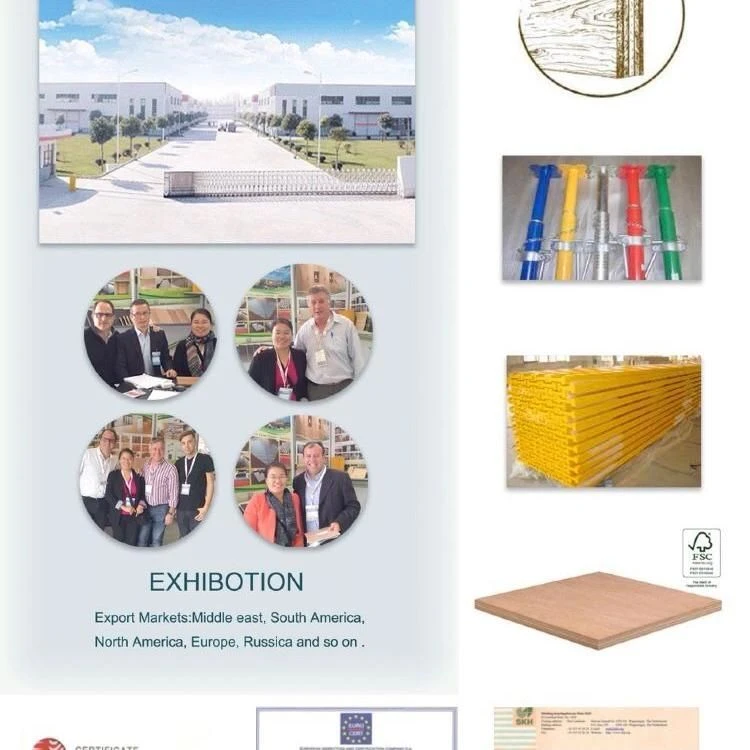 1 Factory and certificate of 18mm Okoume plywood