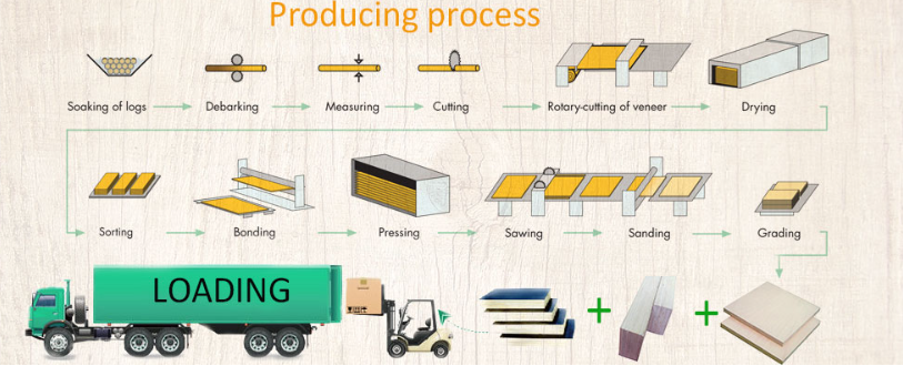 product-813-330 product-813-330