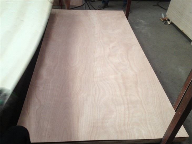 Poplar Core Okume Plywood BB/CC Faced