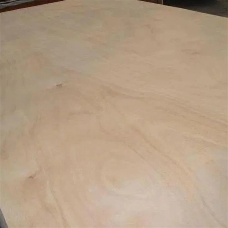 uv coated birch plywood