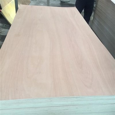 Red Natural Pencil Cedar